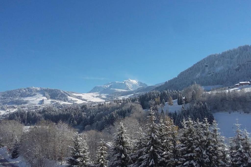 Chalet Vue Mont-Blanc, +4 Chambres, Cheminee 梅杰夫 外观 照片